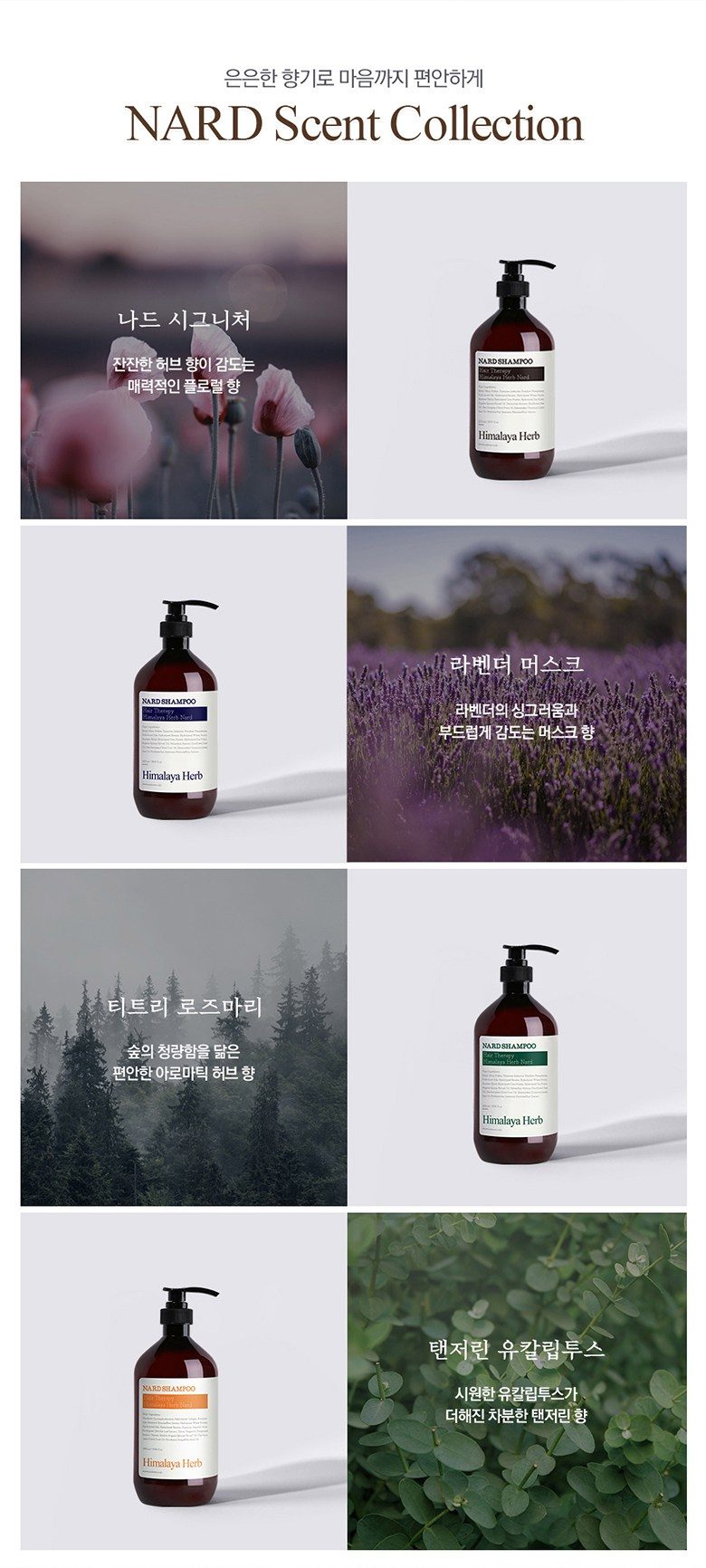 나드 히말라야 허브 나드 샴푸린스 세트