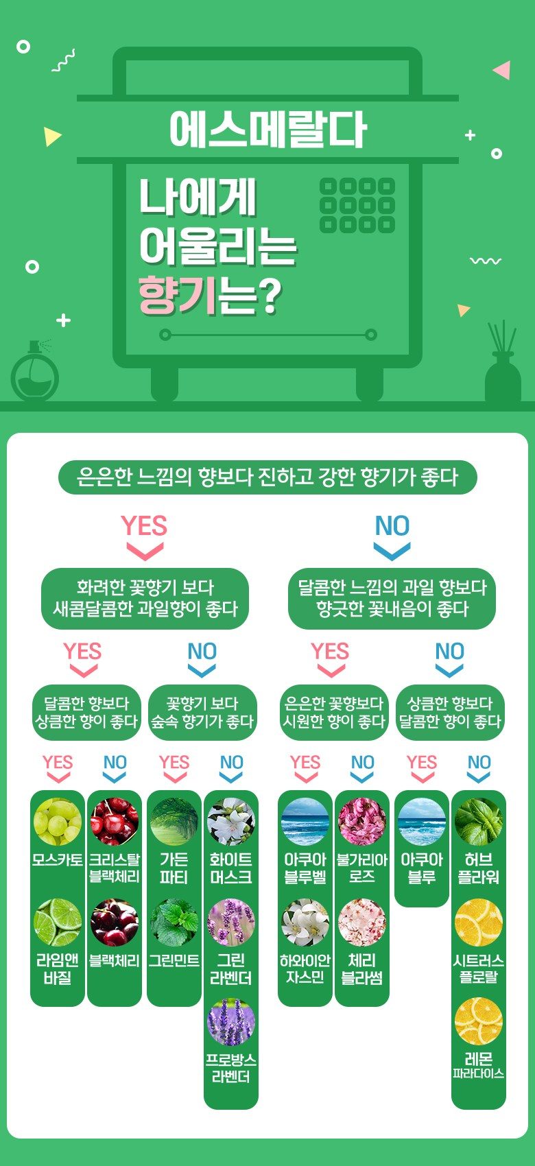 에스메랄다 대용량 디퓨저 300ml 2세트